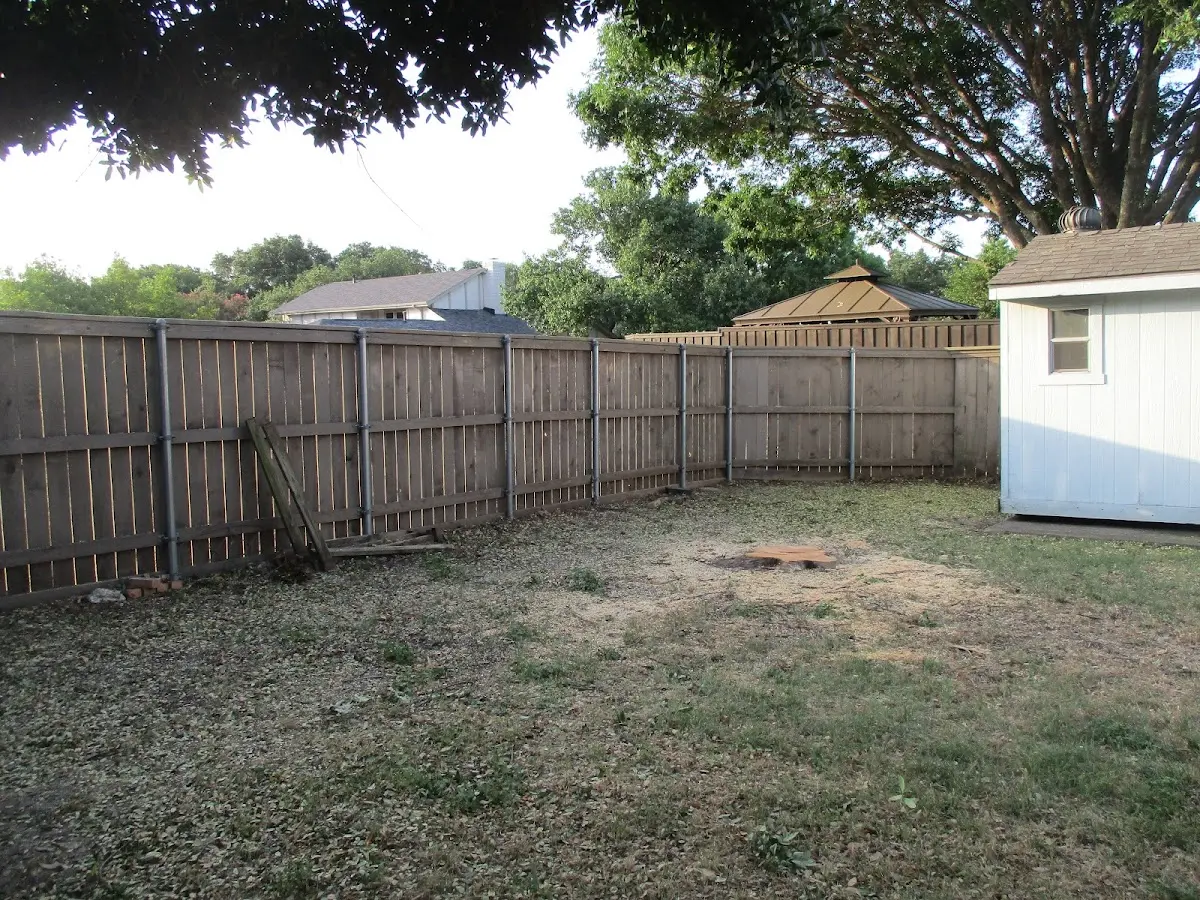Cleared yard after professional tree removal in Plano